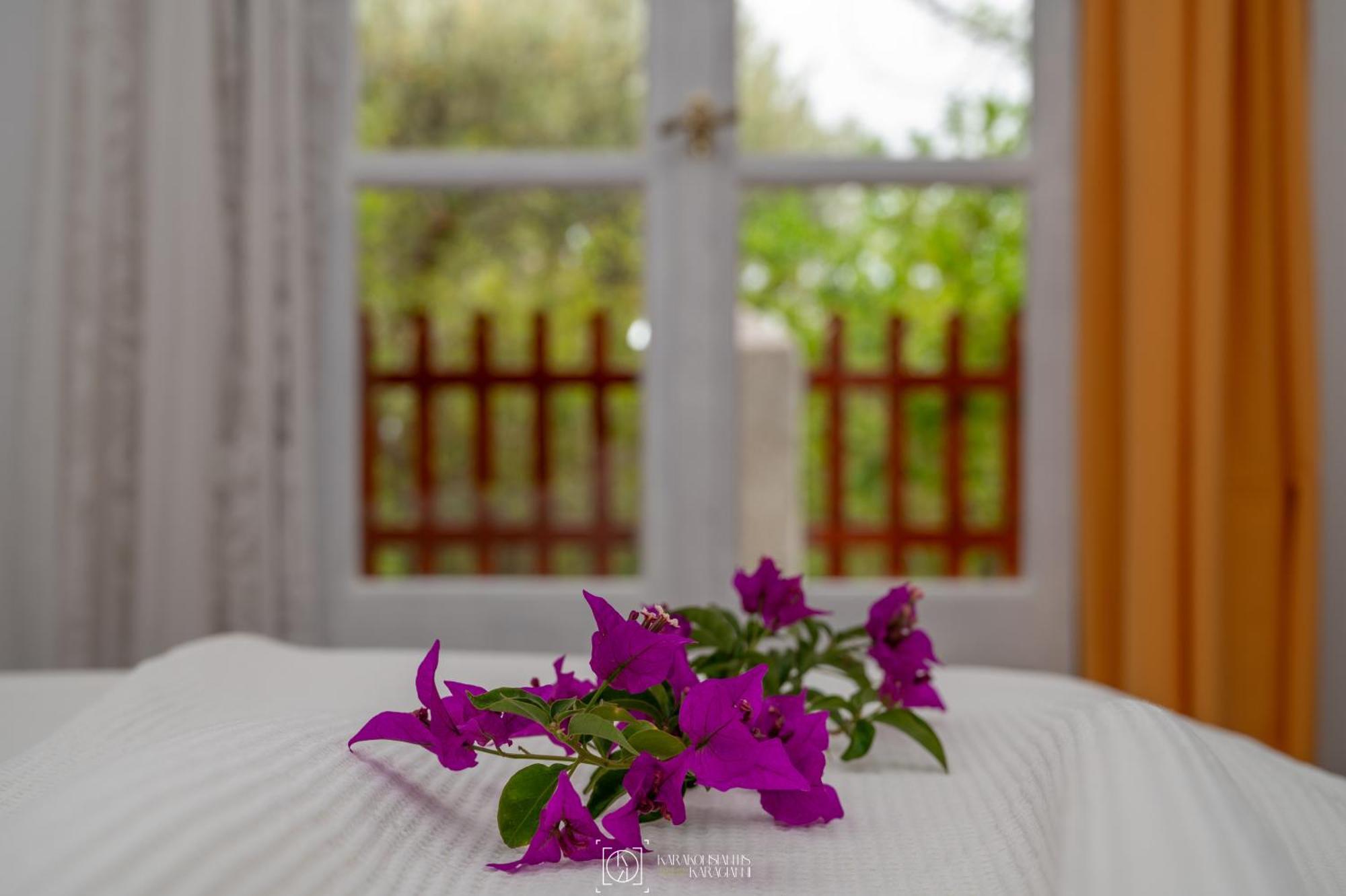 Apartamento Pleiades Samos Marathókampos Exterior foto